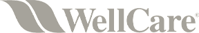 Wellcare logo